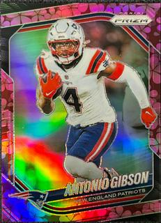 Antonio Gibson