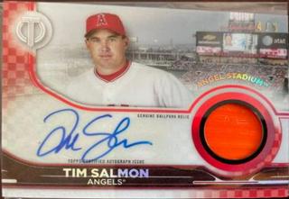 Tim Salmon