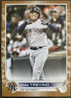 Jose Trevino