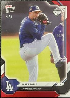 Blake Snell