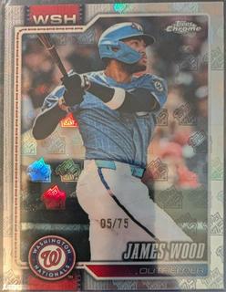James Wood