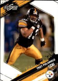 Troy Polamalu