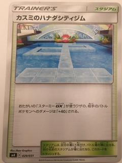 Misty's Cerulean City Gym