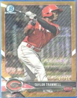 Taylor Trammell