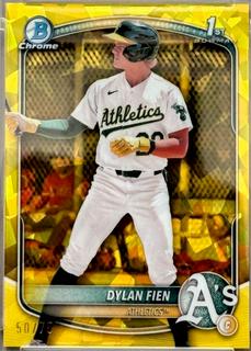 Dylan Fien