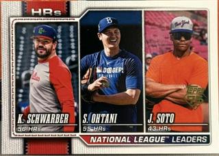 National League Leaders HRs