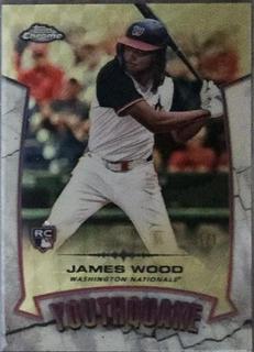 James Wood