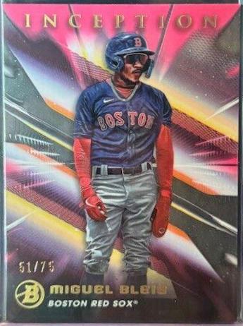 Miguel Bleis [Fuchsia Foil] #66