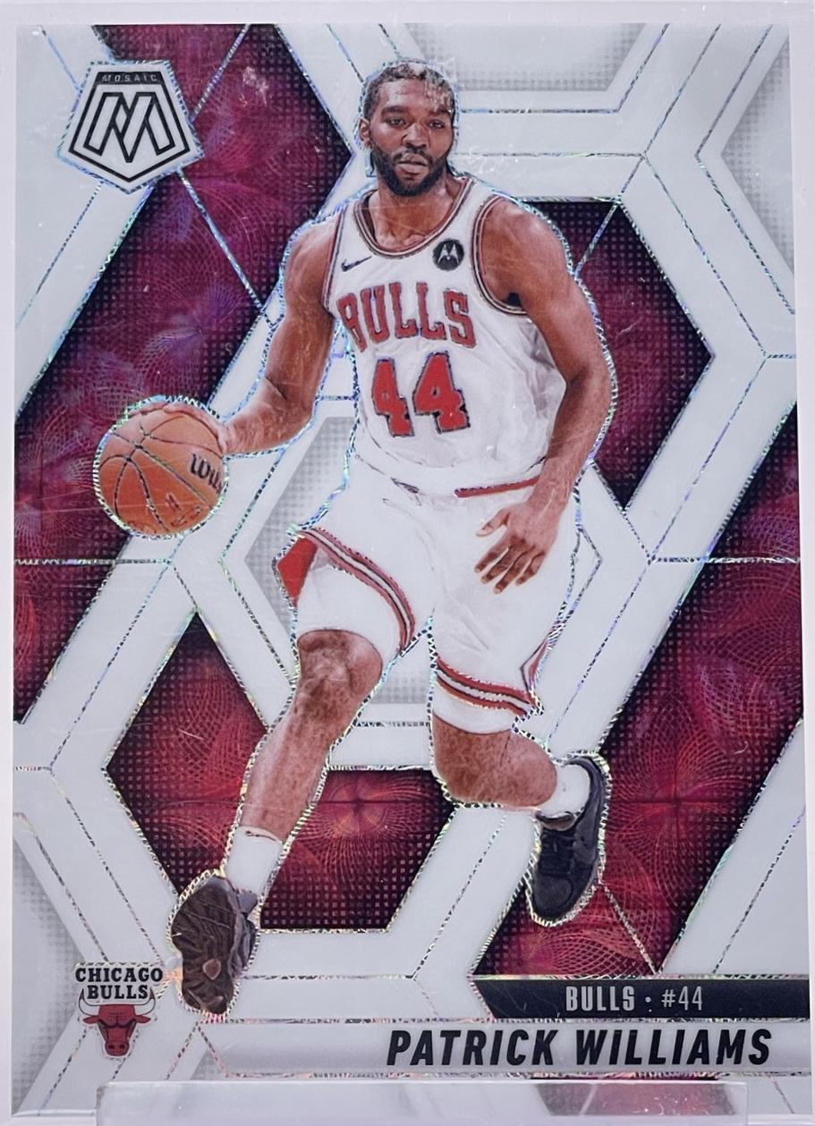 Patrick Williams [International White] #48