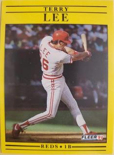 Terry Lee