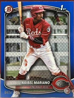 Naibel Mariano