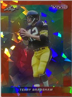 Terry Bradshaw