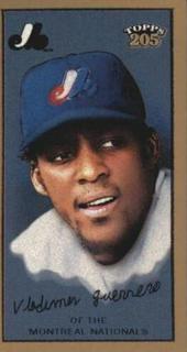 Vladimir Guerrero