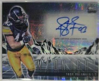 Troy Polamalu