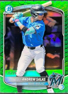 Andrew Salas