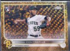 Roansy Contreras