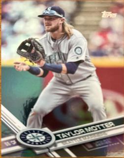 Taylor Motter
