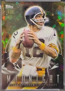 Terry Bradshaw
