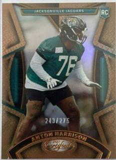 Anton Harrison