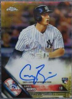 Greg Bird