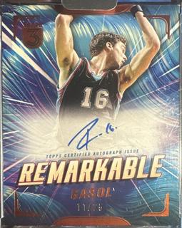 Pau Gasol