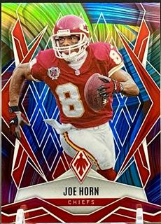 Joe Horn