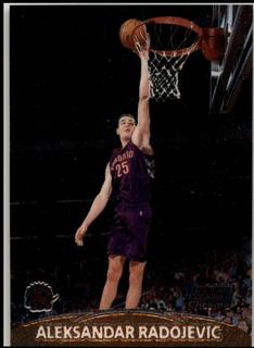 Aleksandar Radojevic