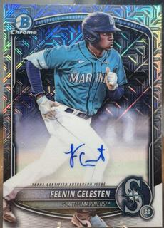 Felnin Celesten