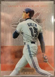 Shawn Green