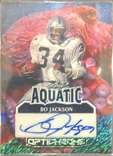 Bo Jackson