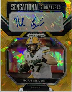 Noah Gindorff
