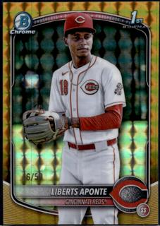 Liberts Aponte