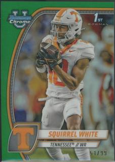 Squirrel White