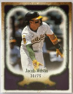 Jacob Wilson