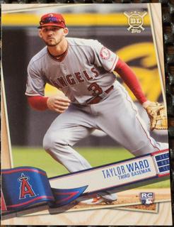 Taylor Ward