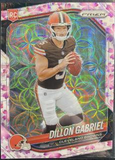 Dillon Gabriel