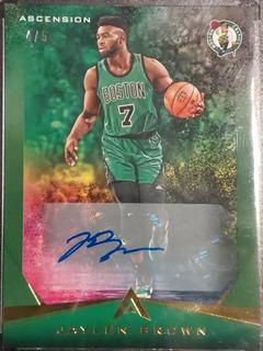 Jaylen Brown