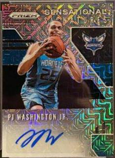 PJ Washington Jr.