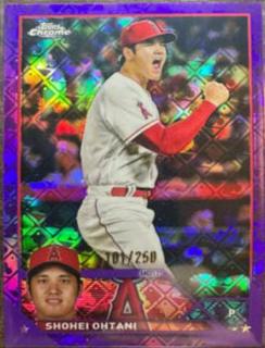 Shohei Ohtani