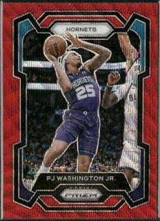 PJ Washington Jr.