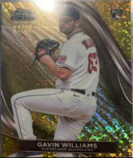Gavin Williams
