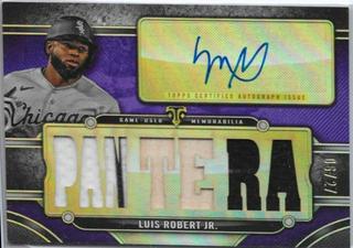 Luis Robert Jr.
