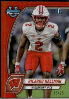 Ricardo Hallman