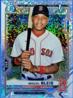 Miguel Bleis