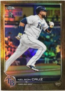 Nelson Cruz