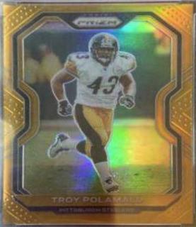 Troy Polamalu