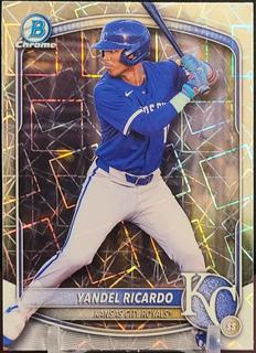 Yandel Ricardo