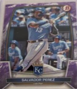 Salvador Perez