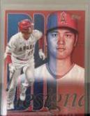 Shohei Ohtani