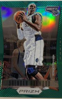 Brendan Haywood